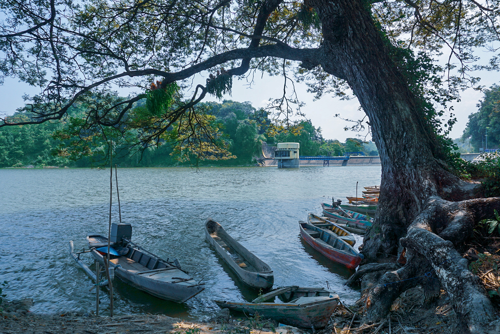 Waduk Pacal